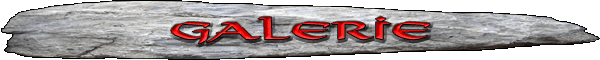 Galerie